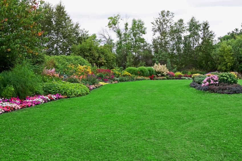 plainfield landscaping